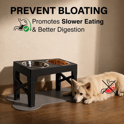 Elevated Slow Feed Dog Bowl Set with Adjustable Stand