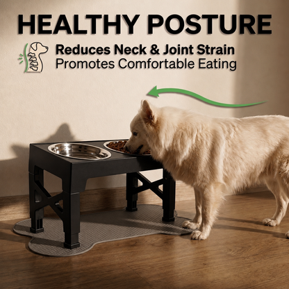 Elevated Slow Feed Dog Bowl Set with Adjustable Stand