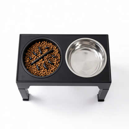 Elevated Slow Feed Dog Bowl Set with Adjustable Stand